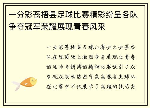 一分彩苍梧县足球比赛精彩纷呈各队争夺冠军荣耀展现青春风采